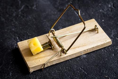 Effectief muizen in huis bestrijden