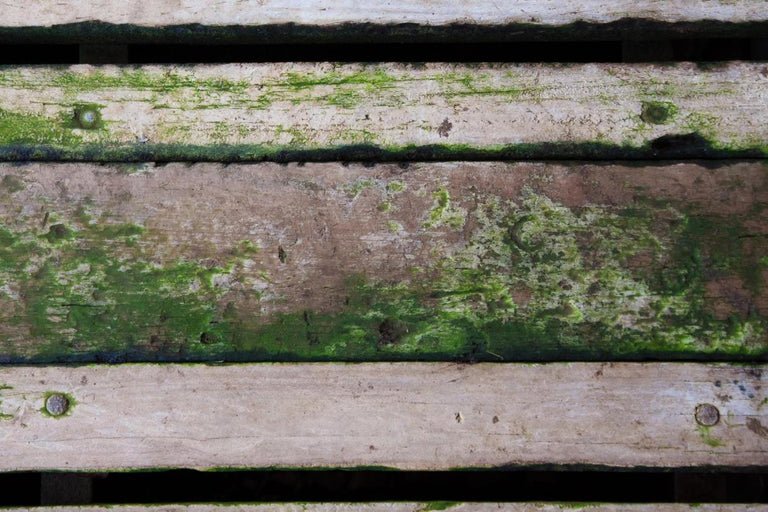 Groene aanslag van hout verwijderen doe je zo