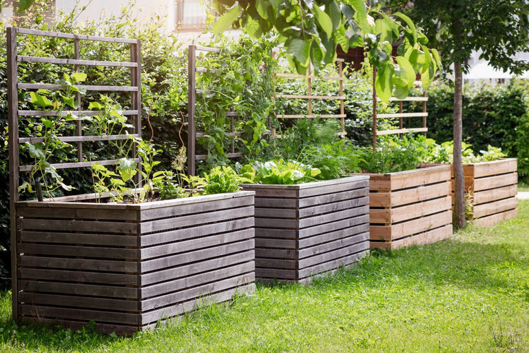 Een moestuinbak maken van hout: Perfect voor je eigen groenten