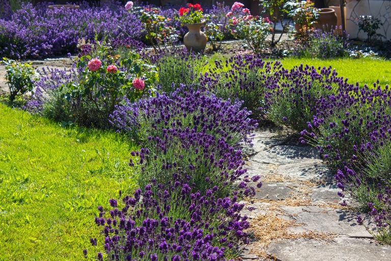 Tuin opknappen? 5x Low budget tuin ideeën