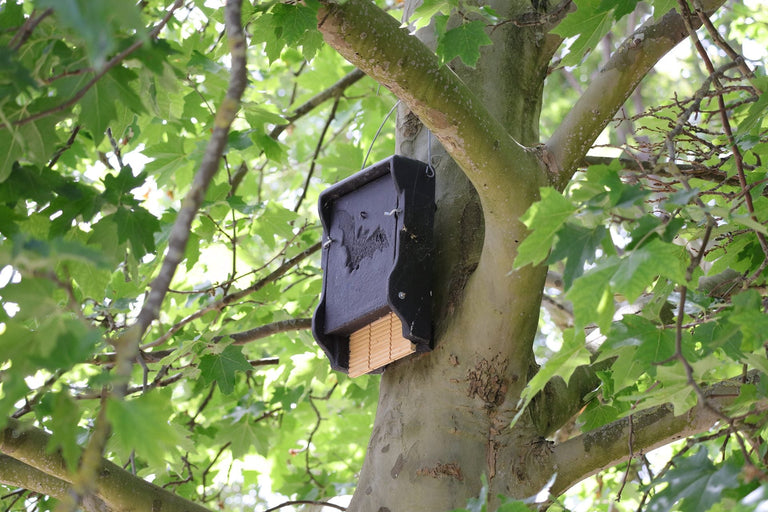 Een houten vleermuiskast maken: Duurzame nestkast voor de tuin
