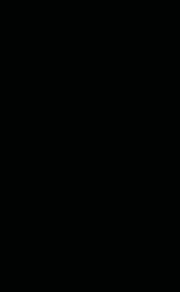 3700837155153.jpg