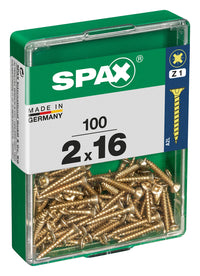 Spax schroef pozidrive verzinkt 2x16mm 100st
