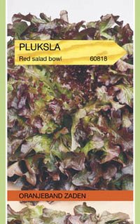 Red Eikenbladsla Pluksla Red Salad Bowl