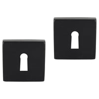 Differnz rozet met sleutelgat zwart vierkant RVS 2st