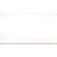 Spaanplaat wit 250x125cm 18mm