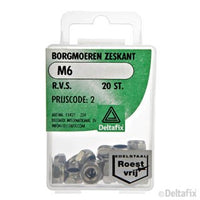 Deltafix borgmoer RVS M6 20st