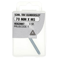 Deltafix cilinderslotschroef verzinkt staal 70x5mm

