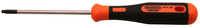 Skandia schroevendraaier TX15x85mm