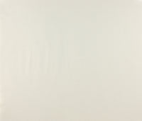 Vliesbehang Uni effen wit 53cmx10m