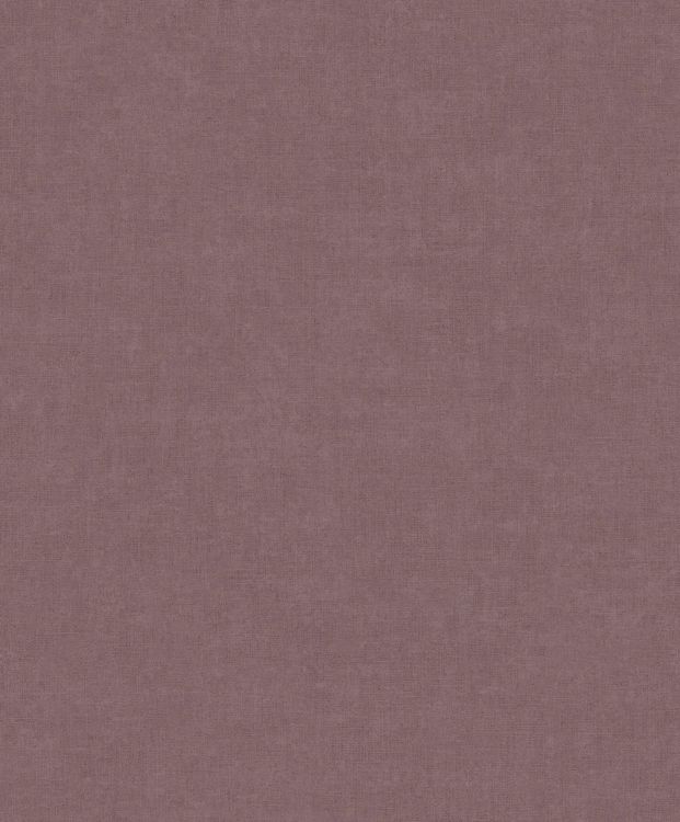 8711912413766_V_O.jpg
