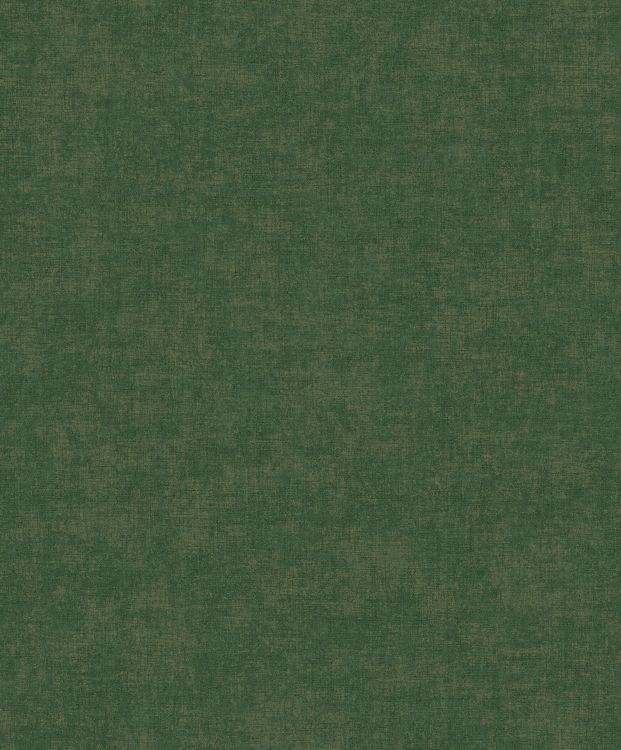 8711912413858_V_O.jpg