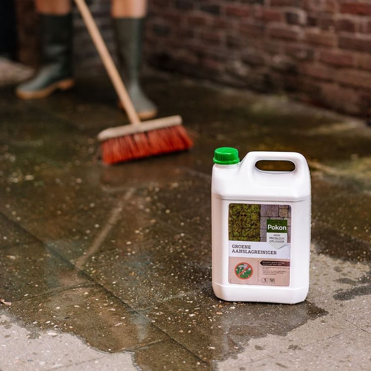 Pokon Mijn probleemoplosser groene aanslagreiniger 5L