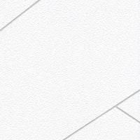 HDM Pan O'quick XXL plafondpaneel struktuur wit 129x62x1cm