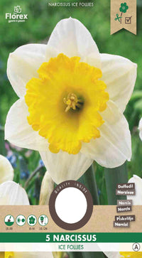 Narcis grootkronig Ice Follies 5 stuks