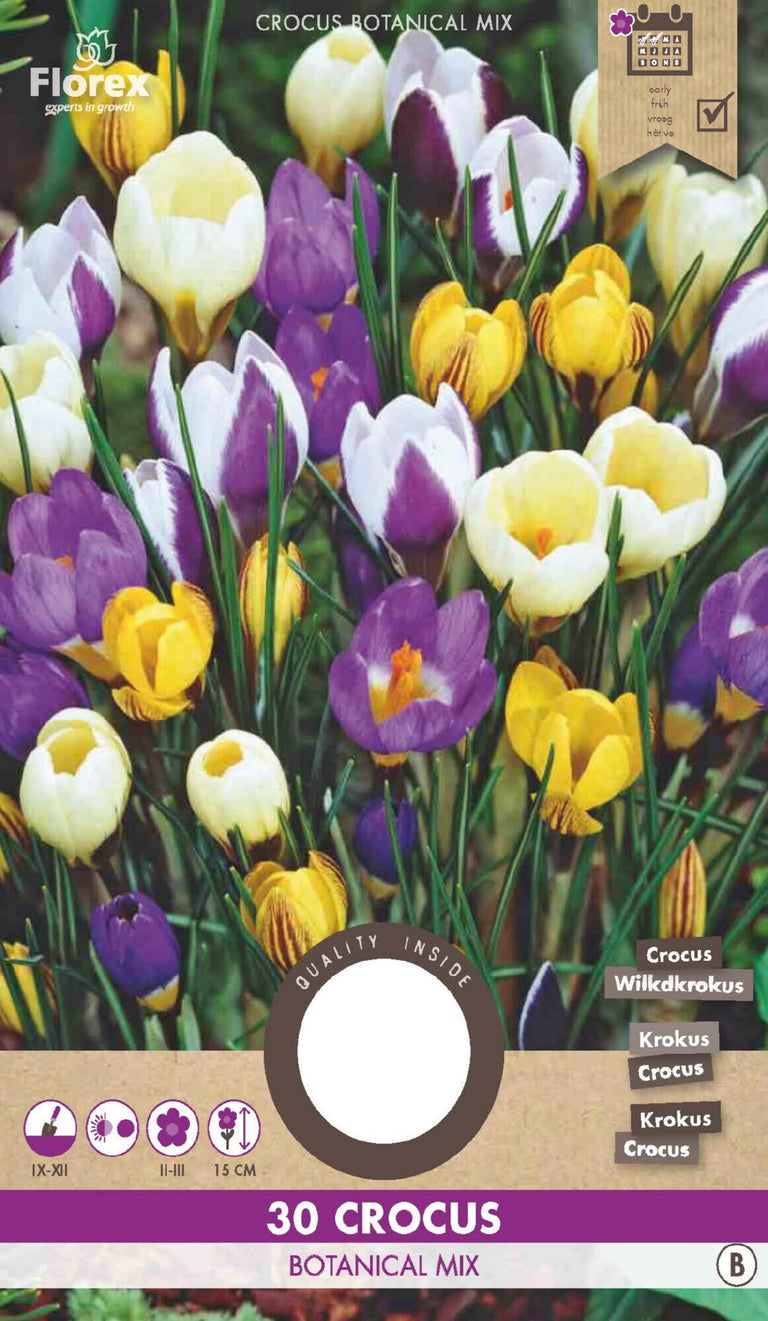 Crocus Botanische Gemengd 25 stuks