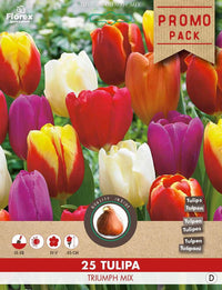 Triumph Tulpen 25 stuks