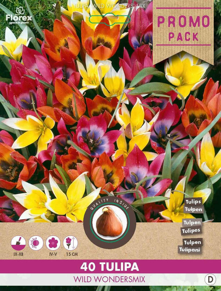 Verwildering tulpen 40 stuks