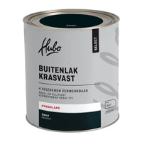 Hubo Select buitenlak hoogglans RAL9005 zwart 250ml