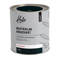 Hubo Select buitenlak hoogglans RAL9005 zwart 750ml