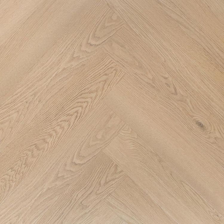 8718074106338.jpg