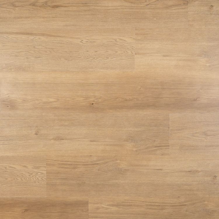 8718074910348.jpg
