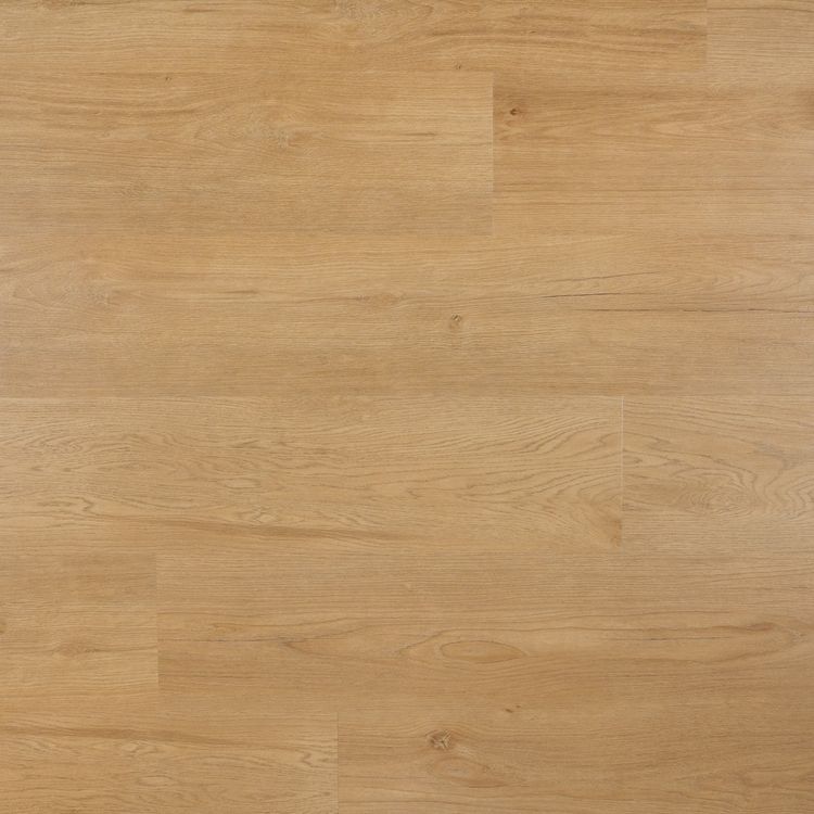 8718074950221.jpg