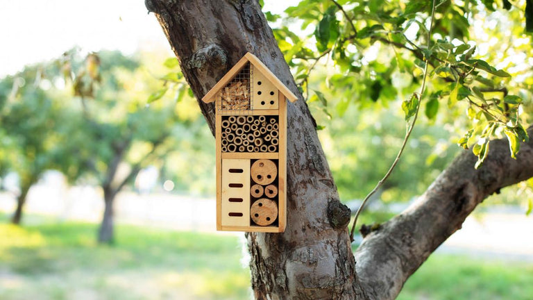 Habitat Huis Bijen Vlinders ANCLLO Insectenhotel Groot Formaat – Houten Hotel Voor Bijen En Vlinders Om Je Tuin Levendig Te Maken Groot Insectenhotel Habitat Huis Bijen Vlinders ANCLLO Insectenhotel Groot Formaat – Houten Hotel Voor Bijen En Vlinders Om Je Tuin Levendig Te Maken Groot Insectenhotel