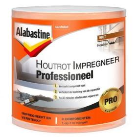 Alabastine Pro houtrotimpregneer transparant 120ml