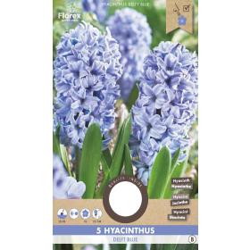 Hyacinth Delft Blue 5 stuks