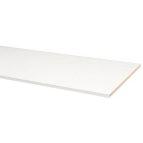 Meubelpaneel spaanplaat 2-zijdige wit 18mm 1,8x60x305cm