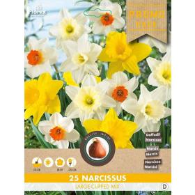 Narcis grootkronig 25 stuks