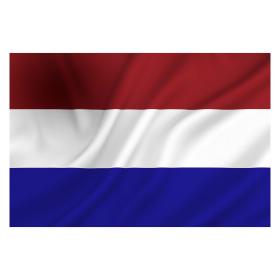 Vlag nederland 29x14,5x3cm